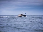 Blue Max - Run across the Strait from Sequim to Cattle Point