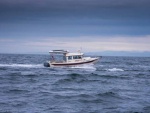 Sleepy C - Run across the Strait from Sequim to Cattle Point