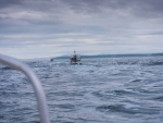 Run across the Strait from Sequim to Cattle Point