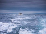 Lighthouse Express - Run across the Strait from Sequim to Cattle Point