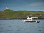 Sleepy C - Cattle Point Light