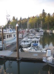 more boats