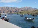 Part of 120 bass boats that launched for a tournament, what a bunch.  Some of these things go 80 mph.  The winner for the first day caught 5 fish, the total weight 12 and a half pounds.  The Big fish was just over three pounds.  