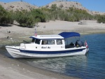 Ashore at Lake Mohave, just a half mile from Cottonwood cove launch ramp That bird on the rail raided inside.  Found evidence of his visit but nothing swiped