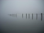 thru the fog.... (siuslaw river near cushman)