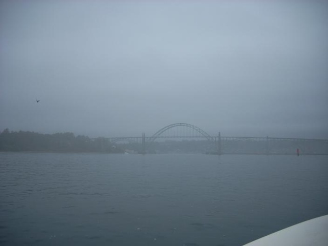 newport bridge      fog
