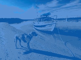 beach.jpg