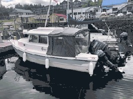 C-Dory image 2 .jpg