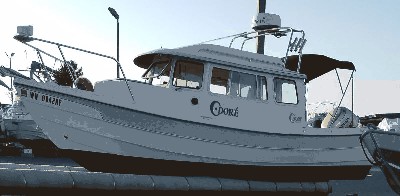 c dory on lift small.jpg