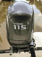 IMG_0323.jpg