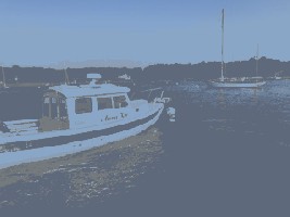 IMG_0541.jpeg