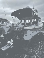 IMG_20220316_114003.jpg