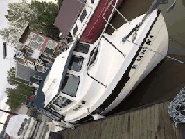 IMG_2717.jpg
