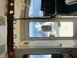 IMG_4244.jpg