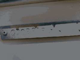 IMG_7742.jpg