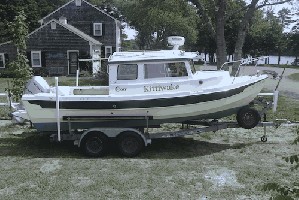 KittiwakeSBSide1.JPG