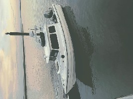 Main pic.jpg