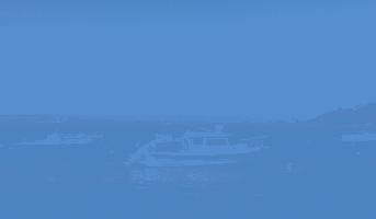 PametMooring.png