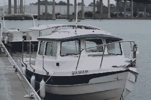 pic 1b.JPG