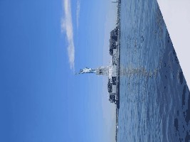 statue of liberty .jpg