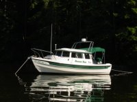 C-Dory Donna Rae.JPG