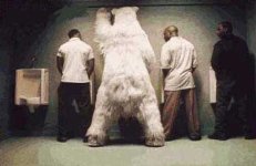 oso-pissing.jpg
