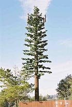 celltowertree.jpg