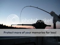 IMG_1000.jpg