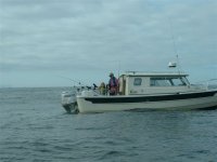 ocean012.jpg