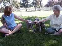 Pups.jpg