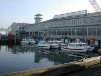 TheC_FleetAtFishermansTerminal.jpg