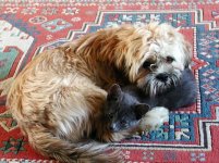 Oscar_and_Samp_7_04.sized.jpg