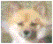 Picture5.gif