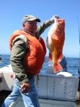 snapper.thumb.jpg snapper.thumb.jpg