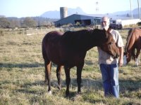 pa_and_horse_1.sized.jpg