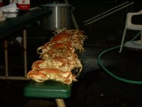 Picture_001.sized.jpg