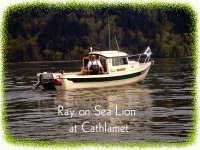 Ray_on_Sea_Lion.jpg