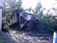 Tree_2_club_house_1.sized.jpg