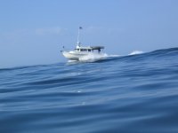 IMG_3066.sized.jpg