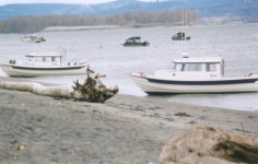010_10.sized.jpg