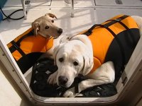 Troy_Belle_on_Boat.jpg