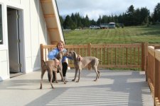 IMG_0474.sized.jpg