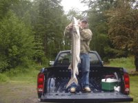 Joe_Sturgeon_6_1_06.sized.jpg