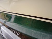 DSC02229.sized.jpg