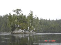 Nakwakto_Rapids_slack_1_2_knots_July_06.jpg