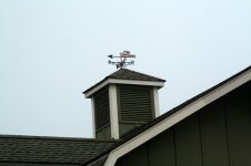 IMG_0990.jpg