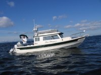 Sea_Skipper.sized.jpg