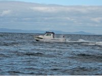 sequim_cbgt_cv2.sized.jpg