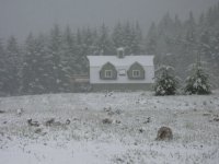 Winter_at_Freshwater_Bay_006.jpg