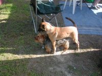 DSCN1159.sized.jpg